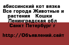 абиссинский кот вязка - Все города Животные и растения » Кошки   . Ленинградская обл.,Санкт-Петербург г.